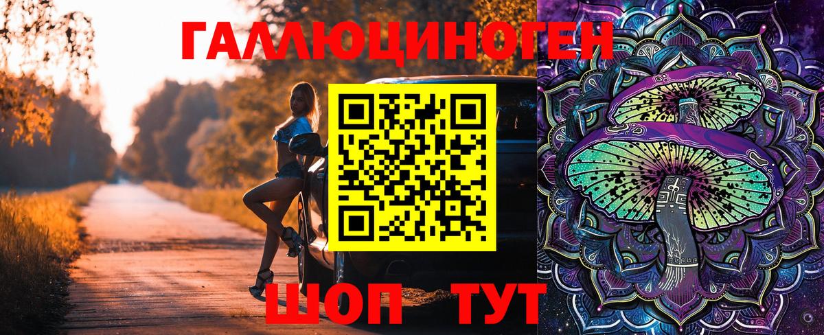 Галлюциногенные грибы Psilocybe Кимовск