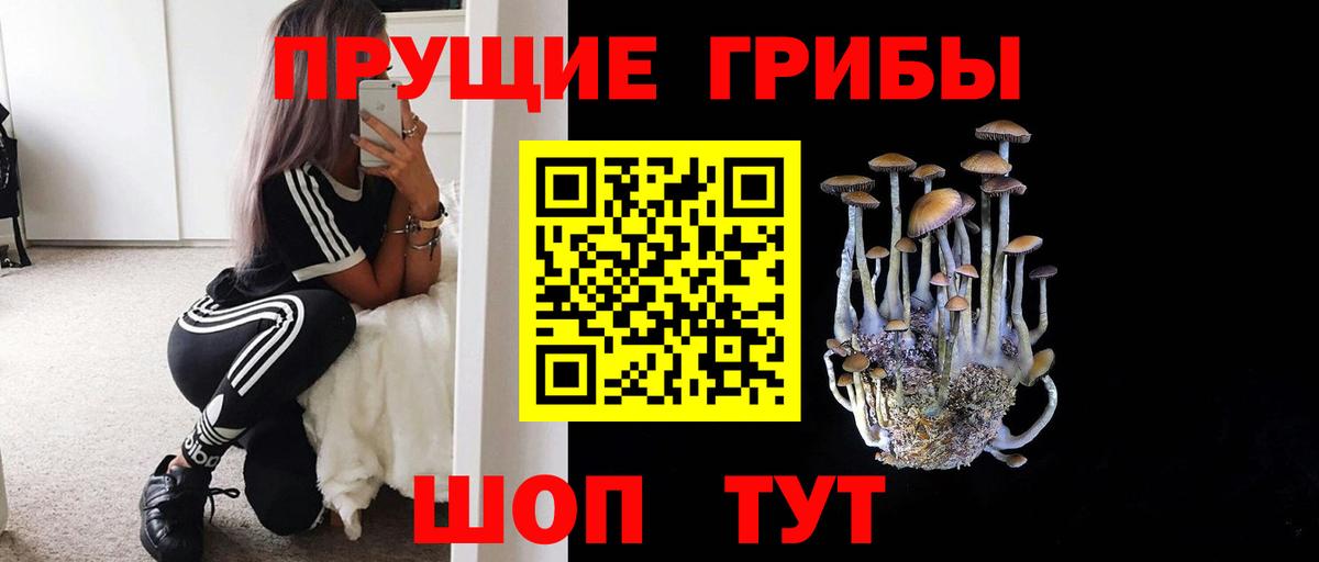Кимовск  Псилоцибиновые грибы GOLDEN TEACHER  Вход с VPN  Галлюциногенные грибы мухоморы 